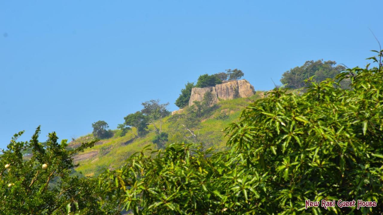 New Rasi Guest House Dambulla Exteriör bild